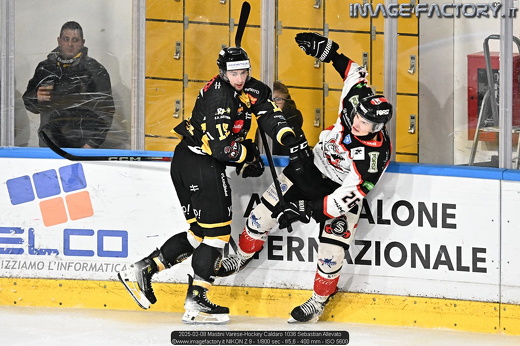 2025-02-08 Mastini Varese-Hockey Caldaro 1036 Sebastian Allevato